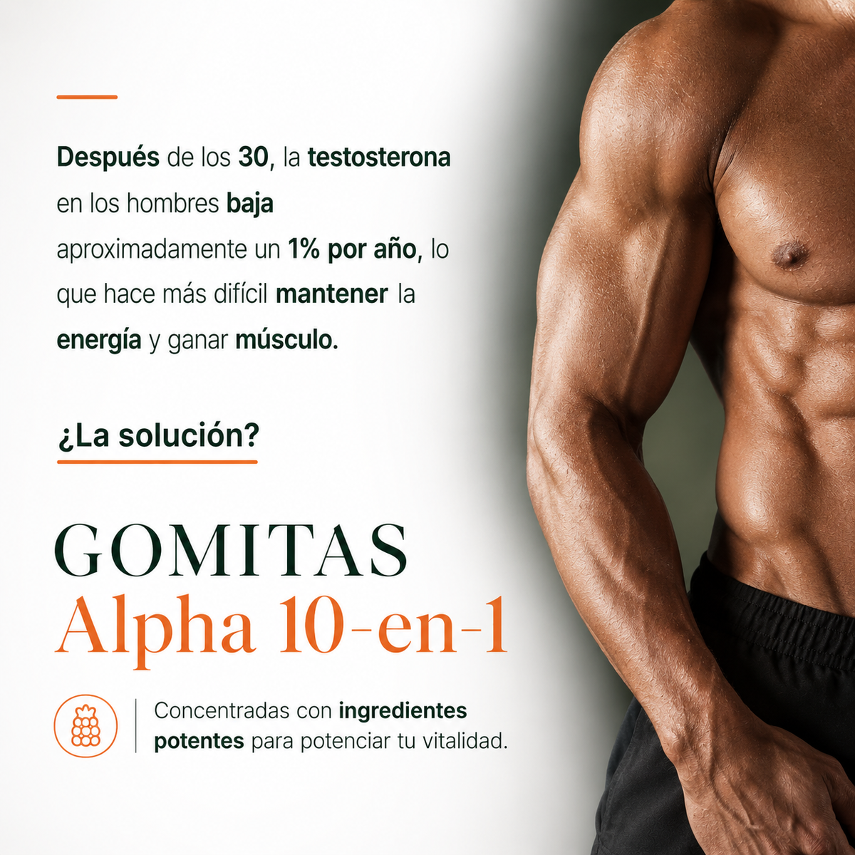 Gomitas Alpha™ — Shilajit Para Energía, Fuerza y Vitalidad