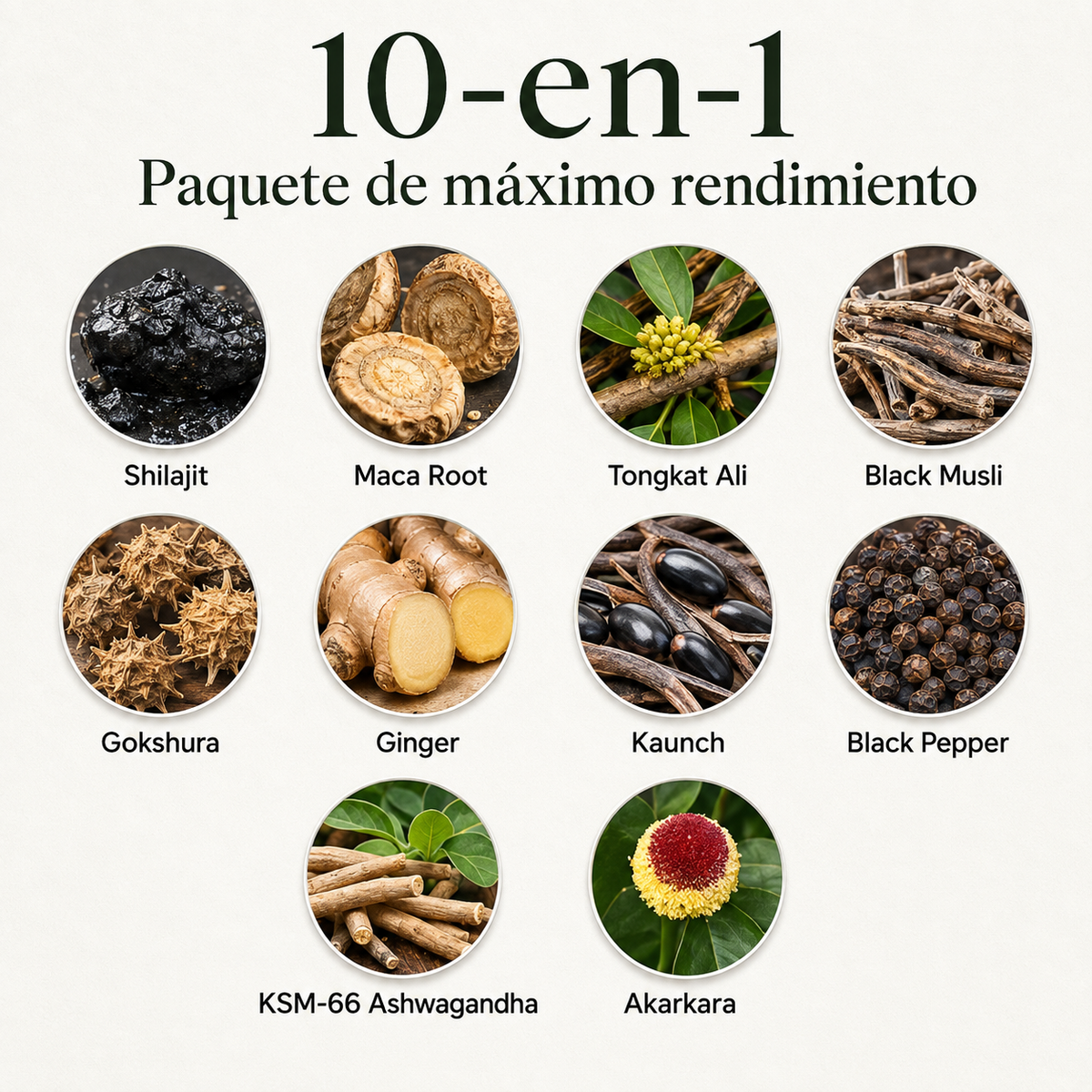 Gomitas Alpha™ — Shilajit Para Energía, Fuerza y Vitalidad